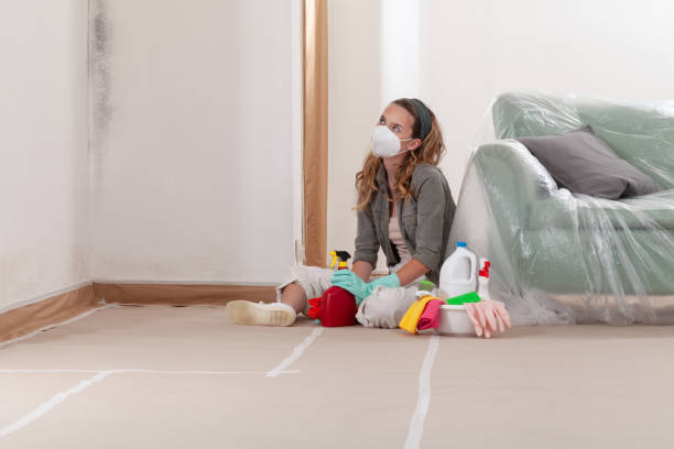 Trusted Black Mold Removal service in Glendale, KY - WQB Mold Removal